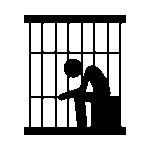 Probation Revocation